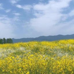 多省份披露重磅全团建议！有大背景